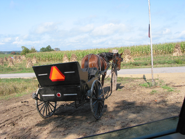 amish life