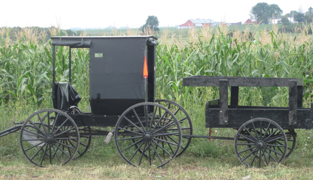 amish life