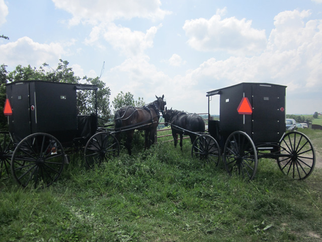 amish life