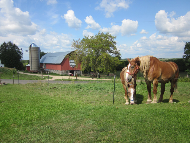 amish life