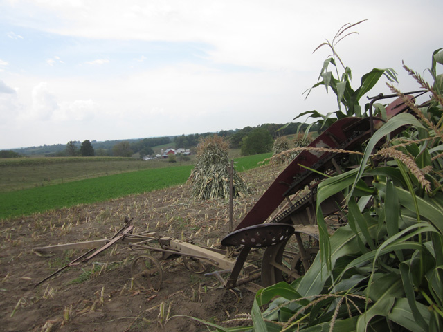 amish life