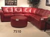 Sofa/Sectional